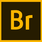 Adobe Bridge v2020簡(jiǎn)體中文破解版