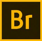 Adobe Bridge 2020中文特別版v10.1.0.163免注冊(cè)版