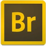 Adobe Bridge CC 2020中文破解版 v10.0