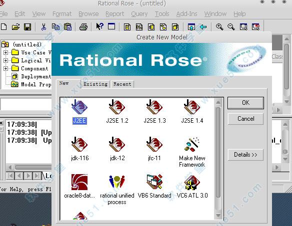 rational rose 2016