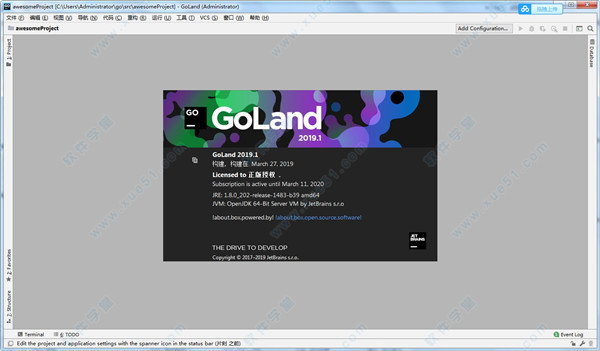 JetBrains GoLand 2019.1漢化包