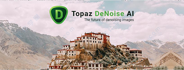 Topaz DeNoise AI